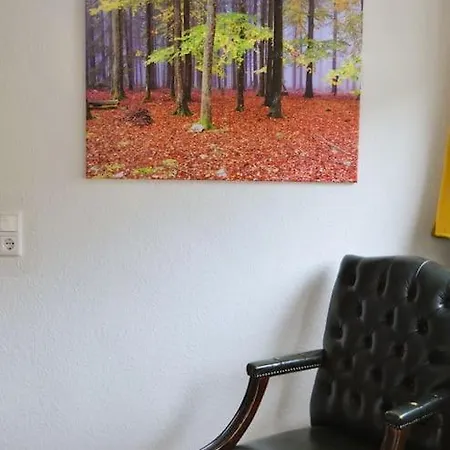 Apartment Am Bollenbach *